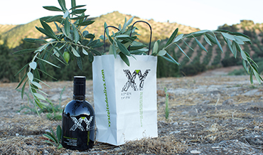 Premium Olive Oil from Spain